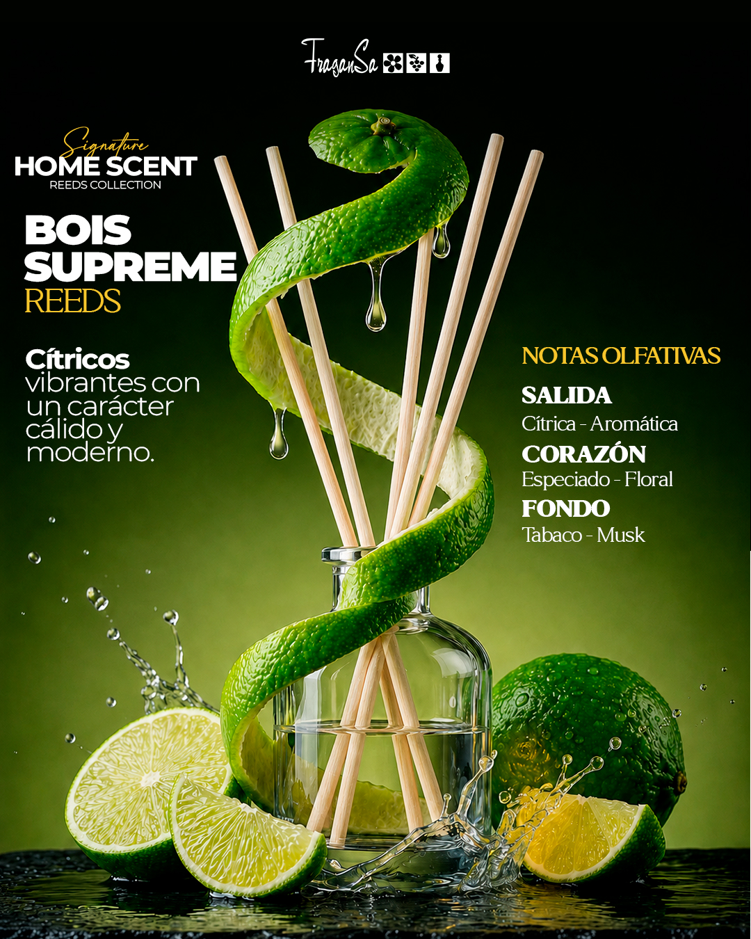 Mesa de trabajo 3